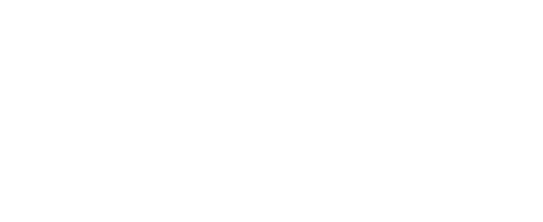 VVA — Valente Veiga & Associados